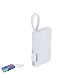 Power Bank Brandin