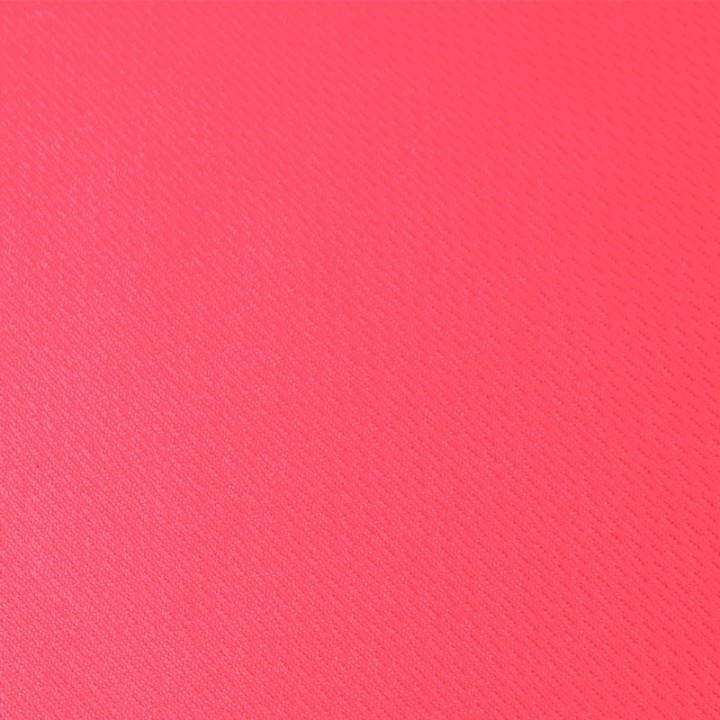 Camiseta Mujer Cocker