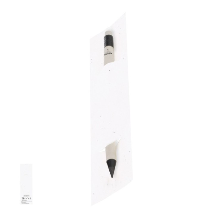 Lápiz Eterno Stauton